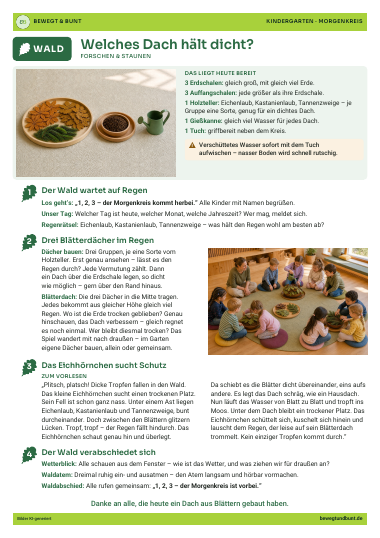 Handout Morgenkreis Wald 4: Welches Dach hält dicht?